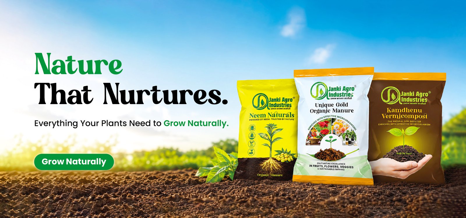 Healthy crops growing in a sustainable farm